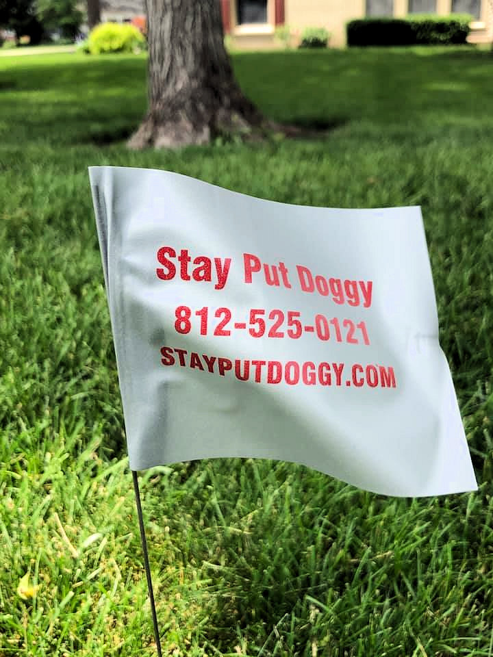 Stay Put Doggy training flag