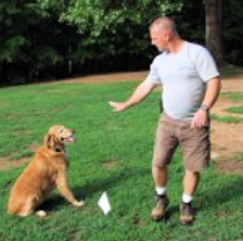 Man training a dog