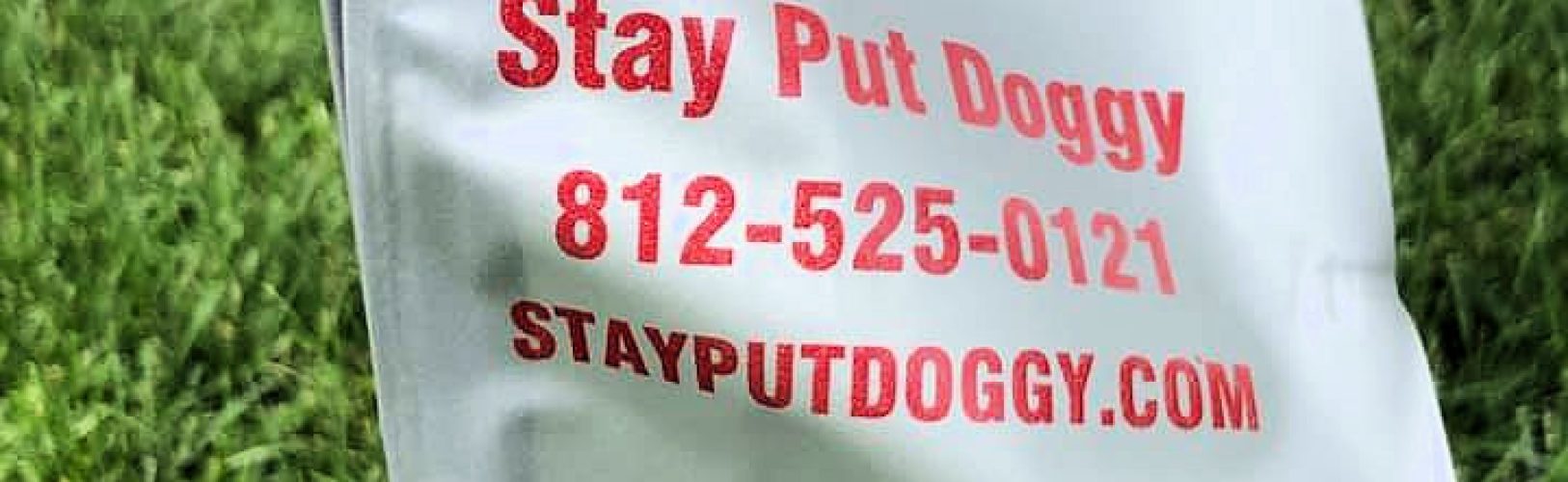 Stay Put Doggy training flag
